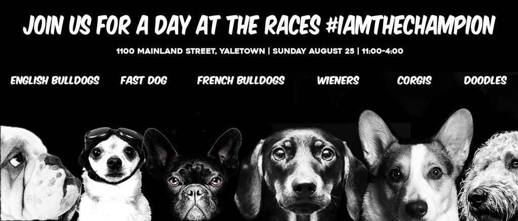 Day Of The Dog Petapalooza Sunday August 25th 2024