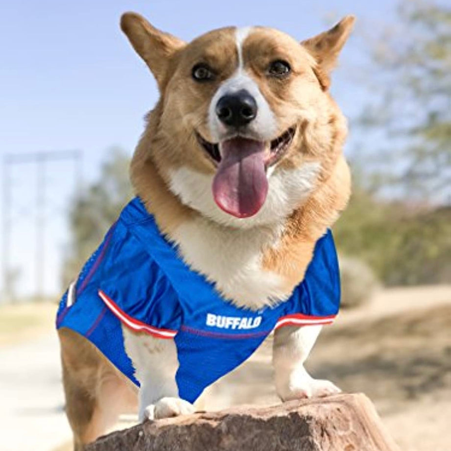 Dog bills jersey hotsell