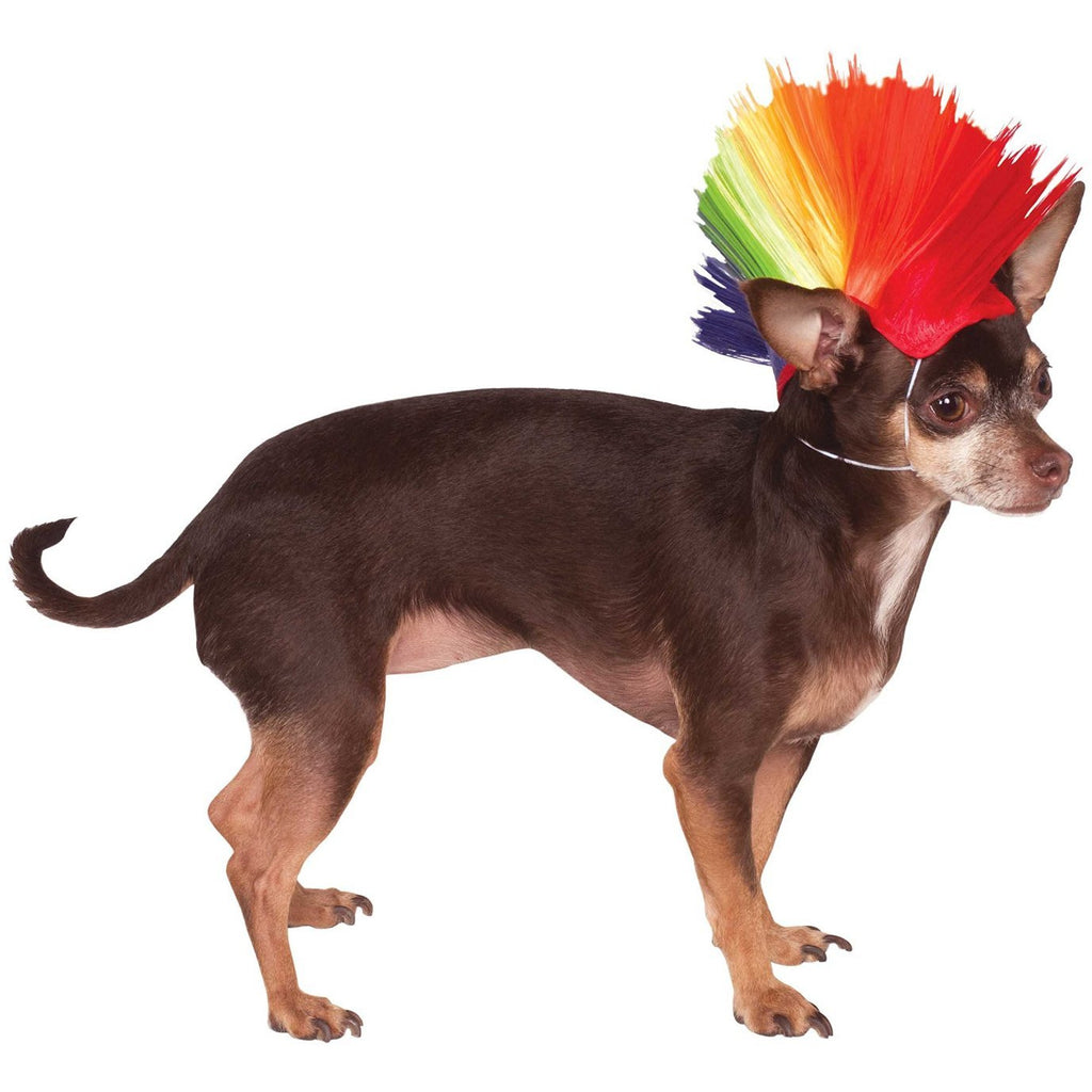 rainbow mohawk barking babies